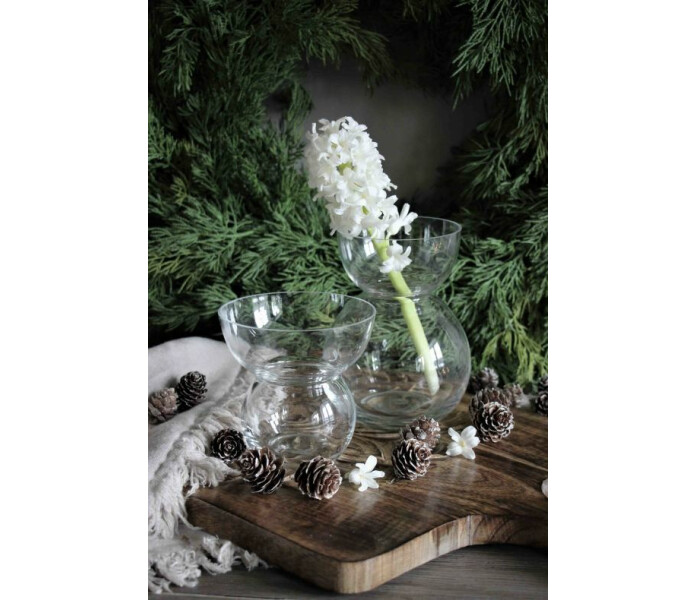 8147 75 majas cottage maljakko sipulikukille lasi lokvas glas kuva