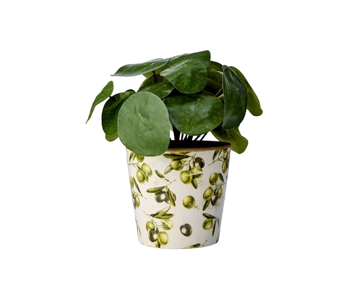 083 715 00 affari olive oliivi oliivikuvioinen ruukku kuva