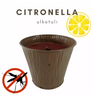 Puttipaja citronella ulkotuli 8h kuva