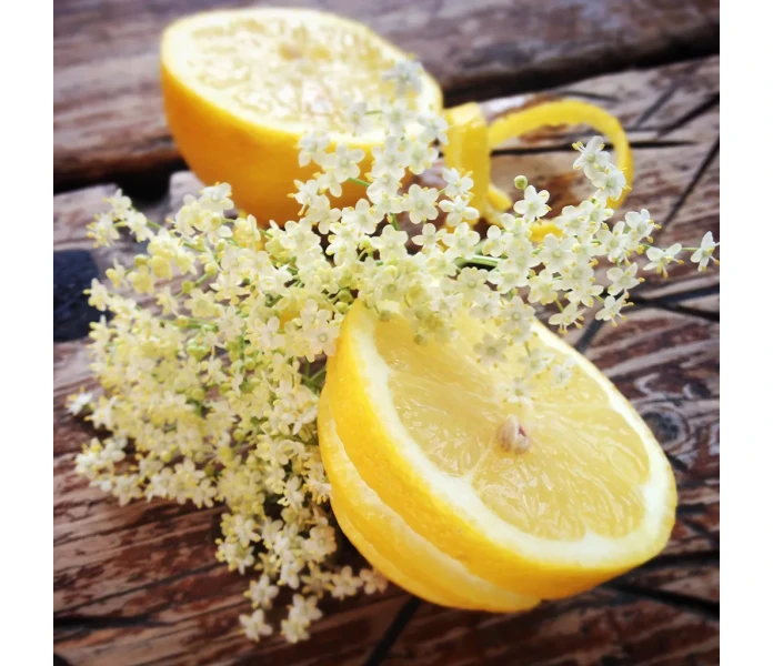 klinta rumsdoft doftpinnor huonetuoksu tikuilla selja seljankukka sitrus 50 ml kuva