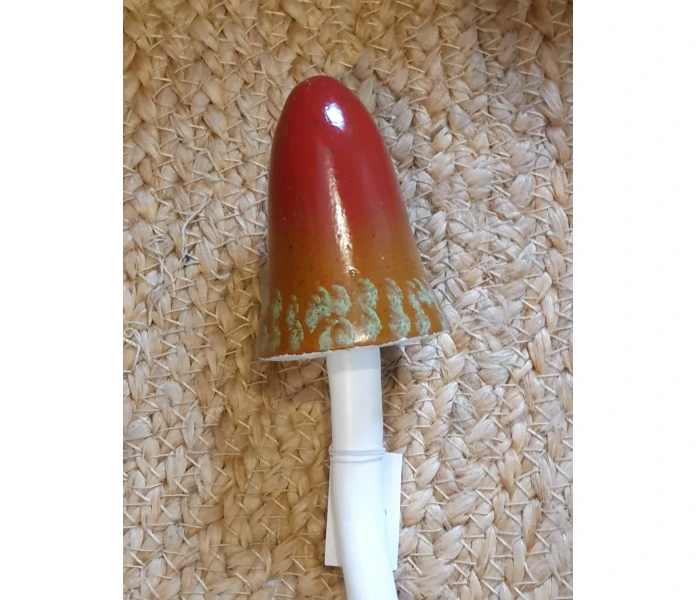 20250828 122257 sieni koriste koristesieni 5 kuva