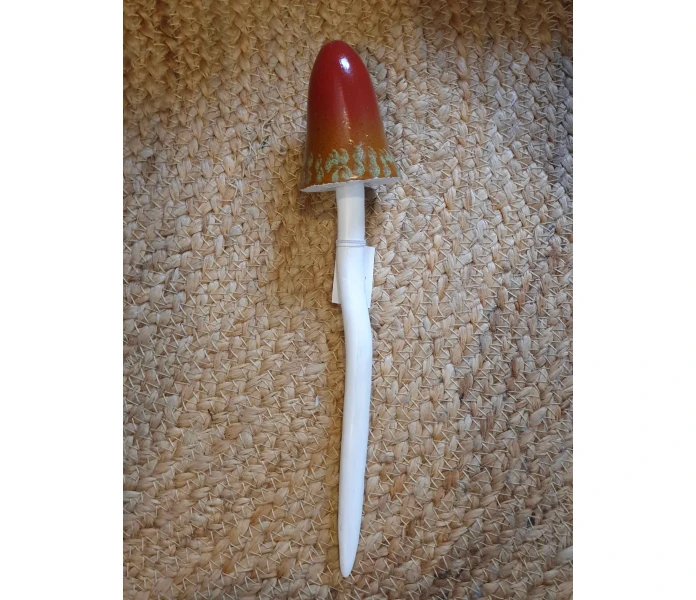 20250828 122257 sieni koriste koristesieni 6 kuva