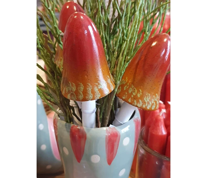 20250828 122257 sieni koriste koristesieni 7 kuva