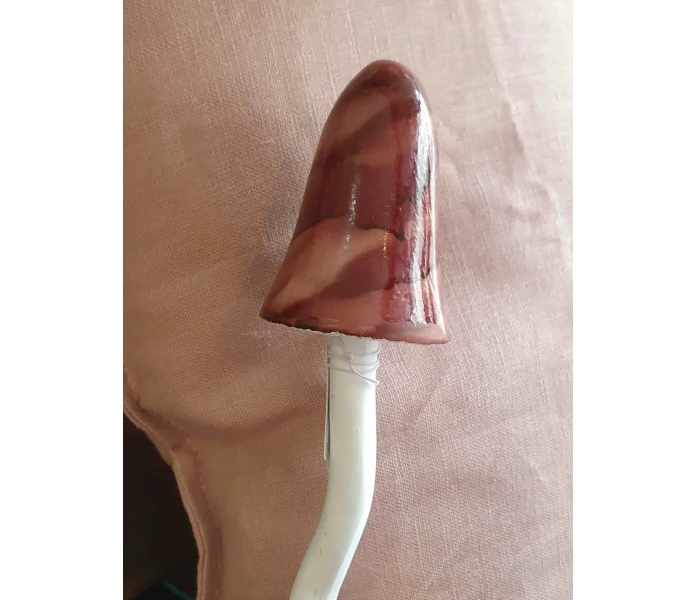 20250828 122257 sieni koriste koristesieni 4 kuva