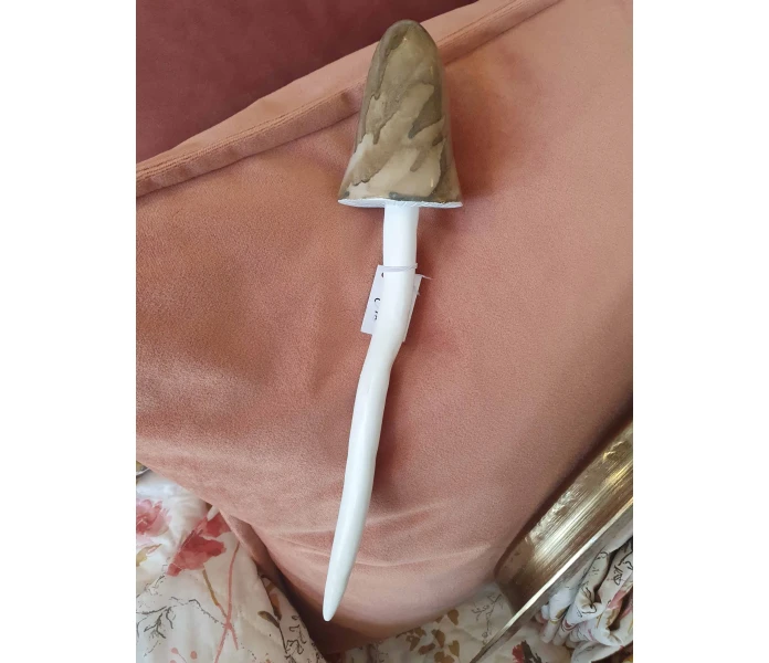 20250828 122257 sieni koriste koristesieni 2 kuva