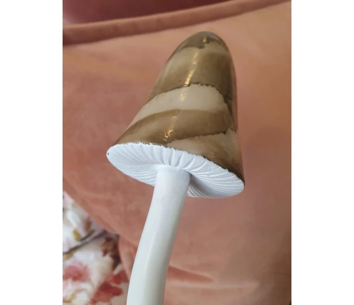 20250828 122257 sieni koriste koristesieni 3 kuva