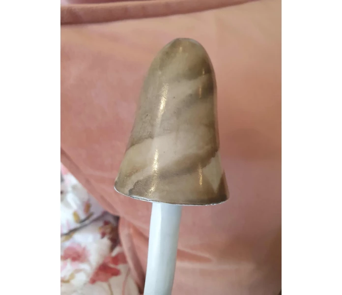 20250828 122257 sieni koriste koristesieni kuva