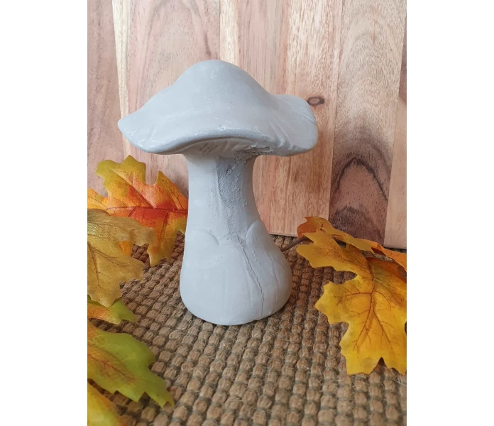 20250828 142053 harmaa sieni betonia betonisieni koristesieni sienikoriste kuva