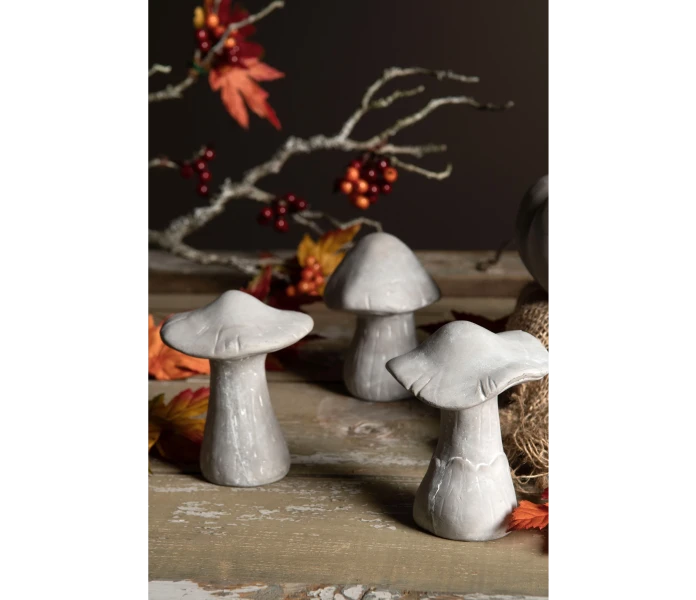 50165 harmaa pieni sieni syyskoriste kuva