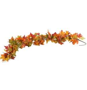 A Lot vaahteranlehtiköynnös 152 cm kuva