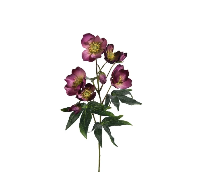 1929 45 mr plant jouluruusu tekokukka silkkikukka koristekukka violetti kuva