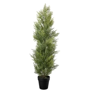 Mr Plant sypressi ruukussa 95 cm kuva