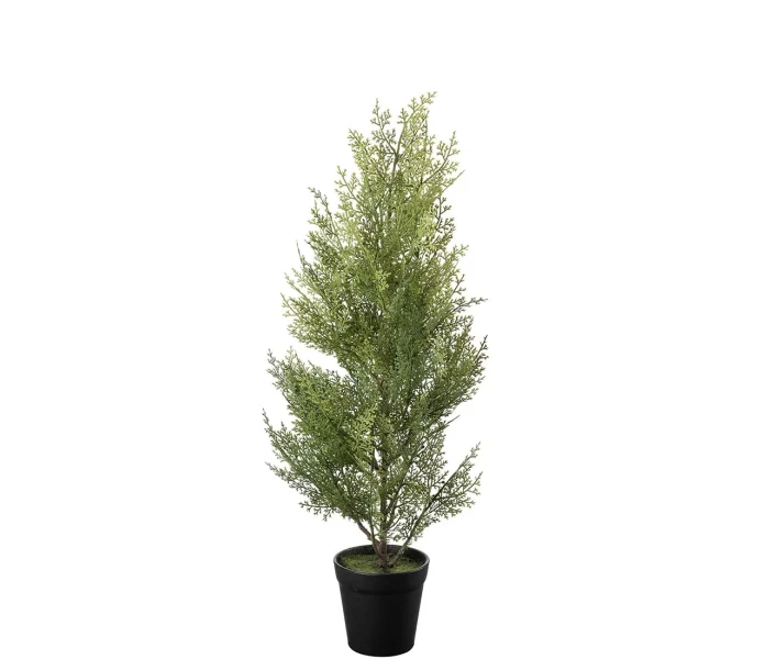 4816 90 1 mr plant sypressi ruukussa tekokukka koristekukka kuva