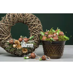 A Lot Decoration kukkasipuli koriste 9,5 cm kuva