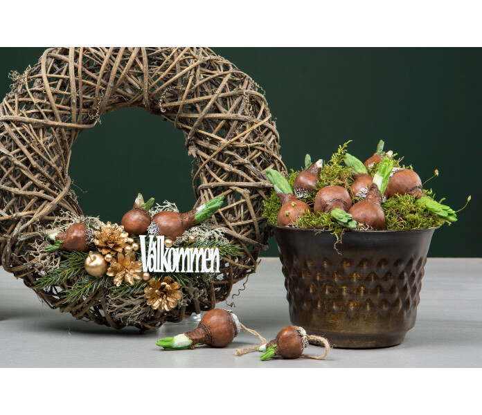 101447 kukkasipuli koriste varlok decoration 2 kuva