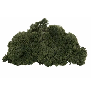 A Lot Dekoration palosuojattu sammal vihreä 500g kuva