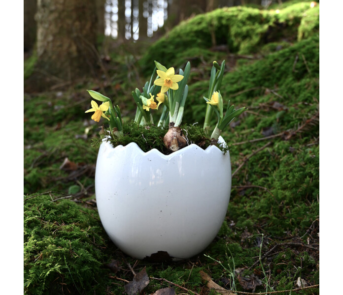 174000 miljogarden munankuori luonnonvalkoinen ruukku aggskal kruka naturvit.jpg 2 kuva