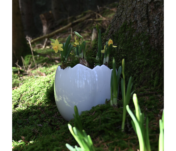 174000 miljogarden munankuori luonnonvalkoinen ruukku aggskal kruka naturvit.jpg 3 kuva