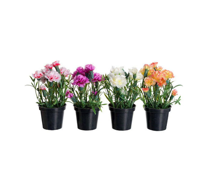 1999 99 1 mr plant pieni matala neilikka ruukussa 15 cm v3 kuva