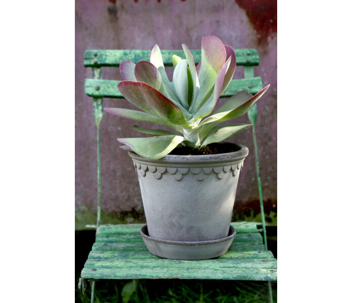 Bergs Potter harmaa gra copenhagen kuva