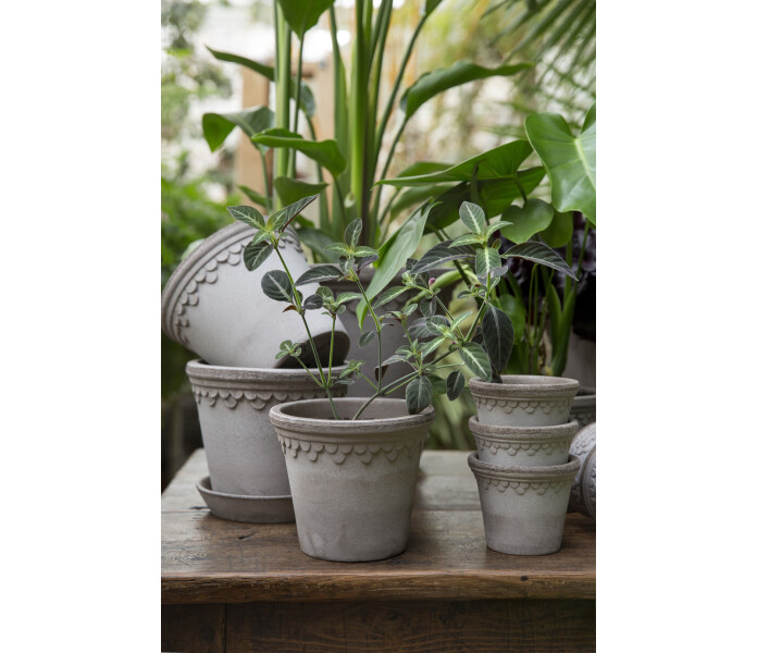 Bergs Potter copenhagen harmaa gra grey kuva