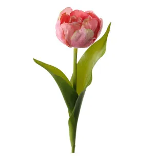 Mr Plant tulppaani pinkki 36cm kuva