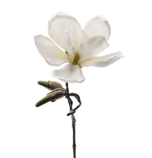 Mr Plant magnolia valkoinen 30cm kuva