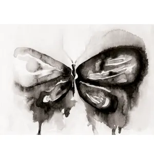 Storefactory juliste Black Butterfly 30x40cm kuva