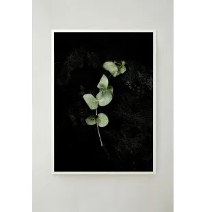 Storefactory juliste Eucalyptus 30x40cm kuva