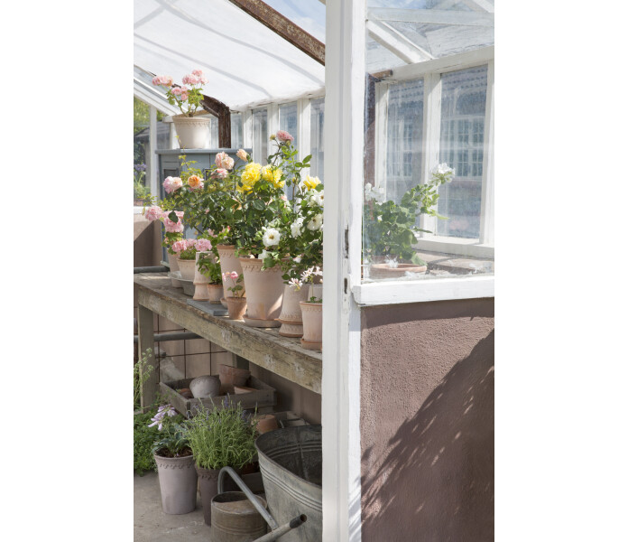 bergs potter copenhagen ruukku saviruukku rosa kruka lerkruka 7 kuva