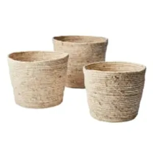 Affari Collect kori maissinlehti 25,5 cm kuva