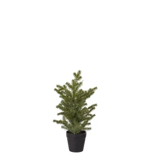 Mr Plant pieni havupuu 35 cm kuva