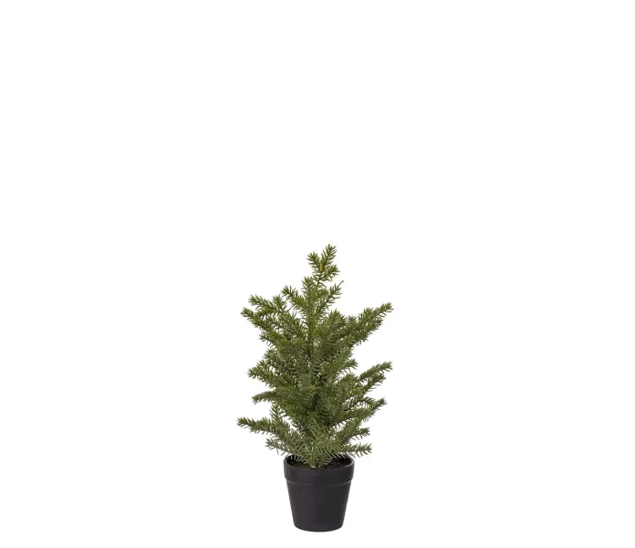 3729 90 1 mr plant pieni havupuu kuusi ruukussa 35 cm kuva
