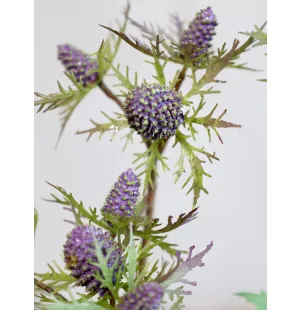 Chic Antique ohdake koristekukka luumu 58,5 cm kuva