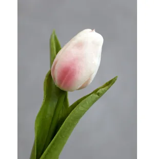 Chic Antique tulppaani 47 cm kuva