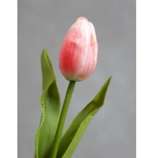 Chic Antique tulppaani 47 cm kuva