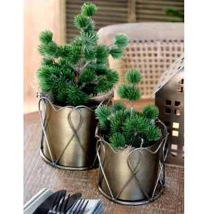 Chic Antique havupuu juuttipussissa 20 cm kuva