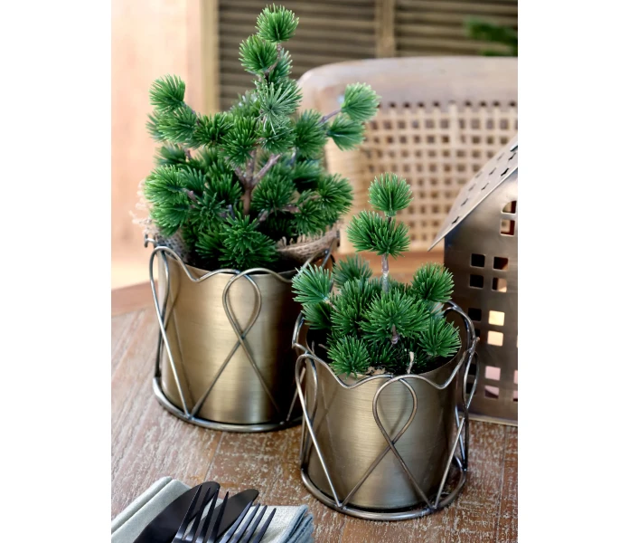 39073822 chic antique havupuu havu koristepuu 30 cm 2 kuva