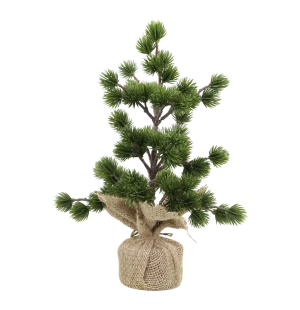 Chic Antique havupuu juuttipussissa 34 cm kuva