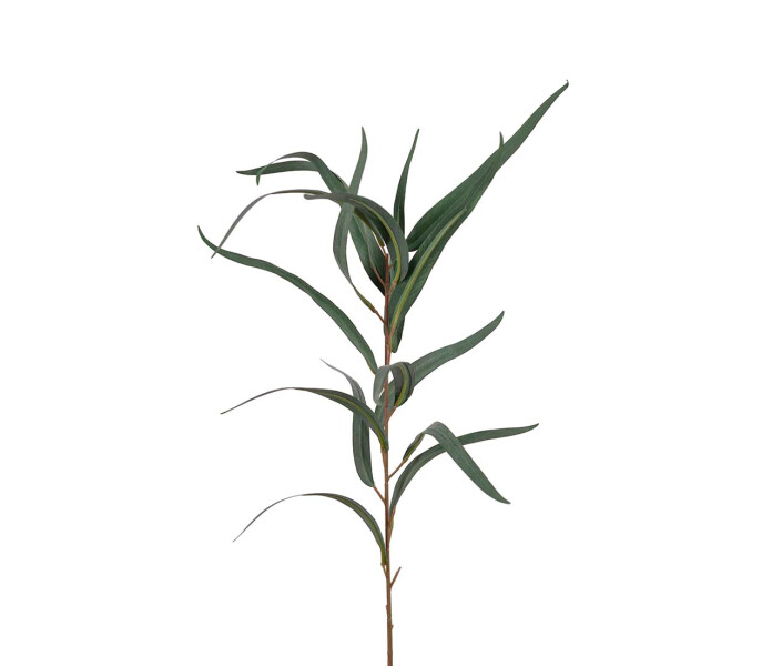 3924 95 mr plant koristeoksa koristekukka tekokukka eukalyptus vihrea 60 cm kuva