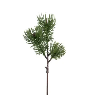 Mr Plant mänty koristeoksa 28cm kuva