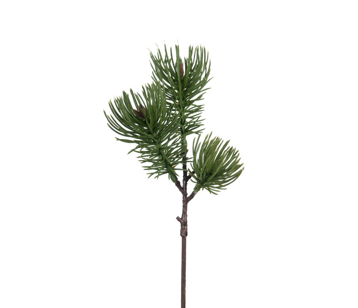 9093 90 mr plant mannyn oksa vihrea gron tall kvist kuva