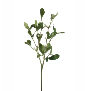 Mr Plant mistelinoksa 60cm kuva