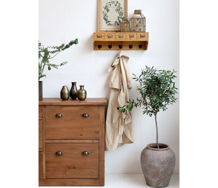 41065700 05 chic antique ruskea puinen seinahylly naulakoilla kuva