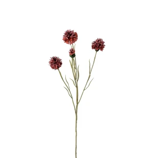 Mr Plant ruiskaunokki koristeoksa punainen 60 cm kuva