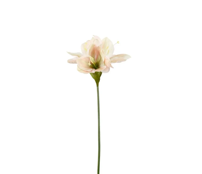 4523 51 mr plant amaryllis tekokukka silkkikukka koristekukka kuva