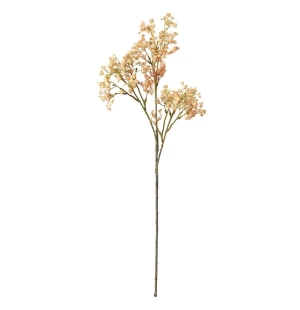 Mr Plant morsiusharso persikka 70 cm kuva