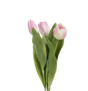 Mr Plant tulppaani vaaleanpunainen 36cm kuva