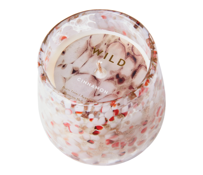 420 170 09 affari of sweden wild tuoksukynttila lasipurkissa kaneli doftljus i glasburk spa day kanel 2 kuva