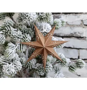 Chic Antique paperitähti toffee 13cm kuva